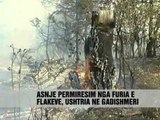 Shpërthejnë zjarret - Vizion Plus - News - Lajme
