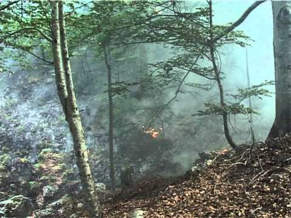 SITUATA E ZJARREVE MEGJITHE NDERHYRJEN E USHTRISE ZJARRET JASHTE KONTROLLIT LAJM