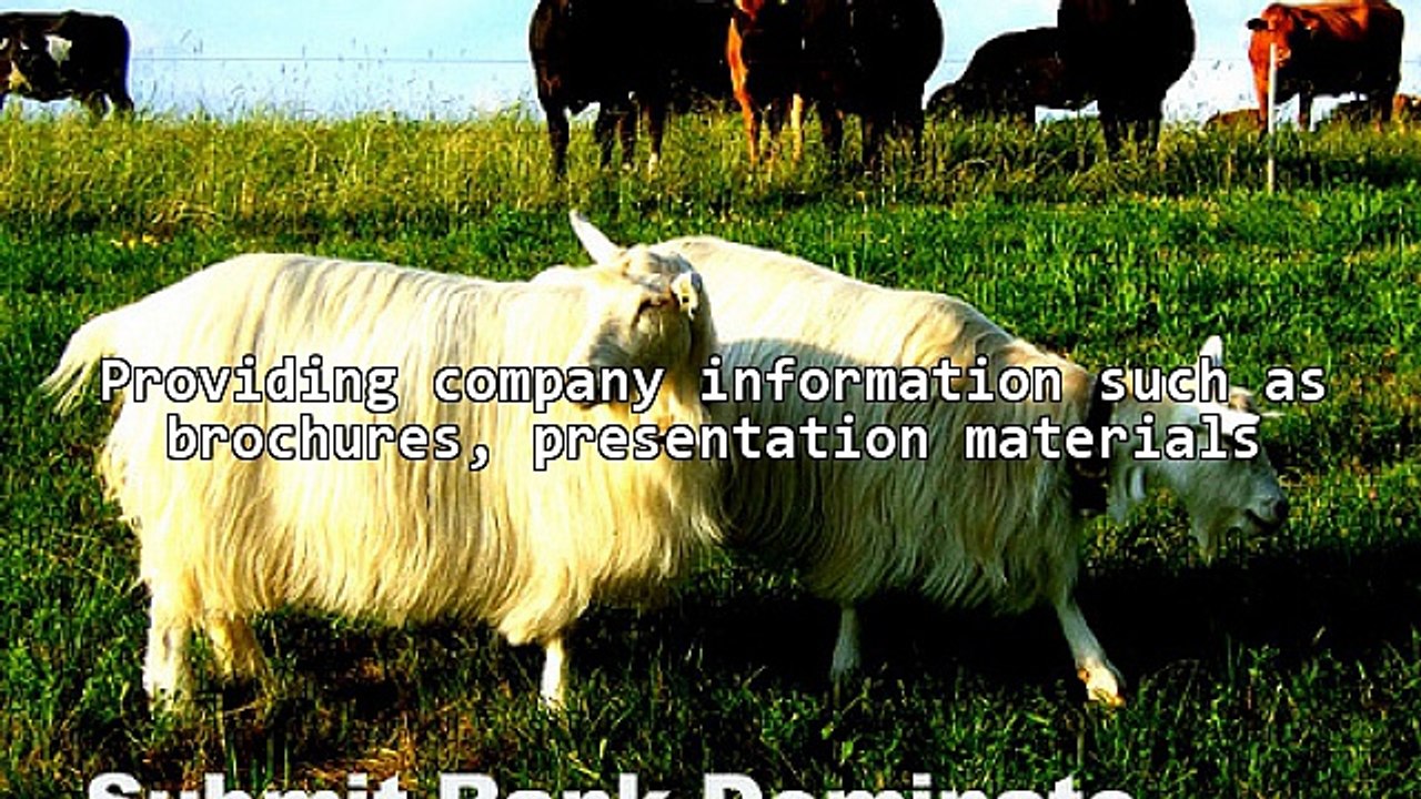 Grow Your Business Automatically Using Autoresponders!