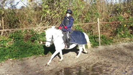 Alicia monte pour la première fois un double poney (Rihanna) en novembre 2015