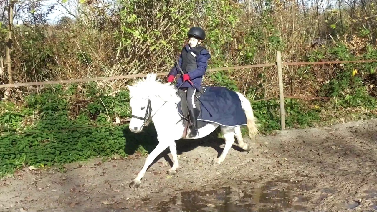 Alicia monte pour la première fois un double poney (Rihanna) en novembre 2015