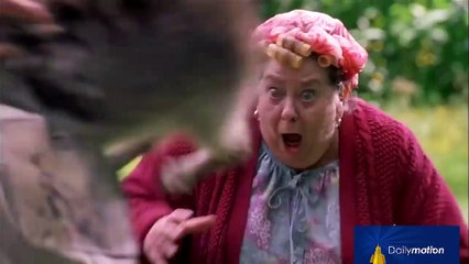 Top 10 Hilarious Animal Attack Scenes