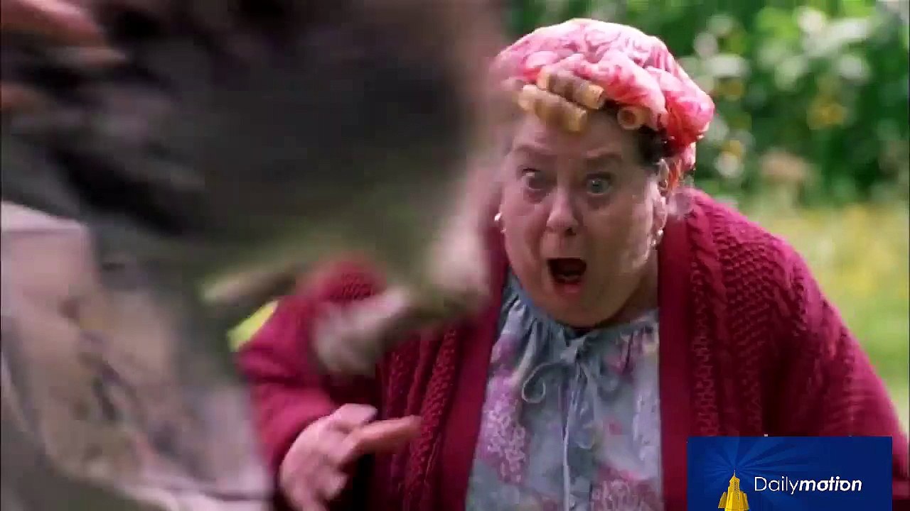 Top 10 Hilarious Animal Attack Scenes