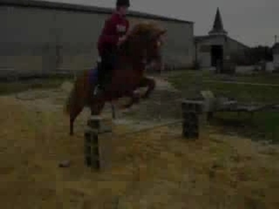 Olina