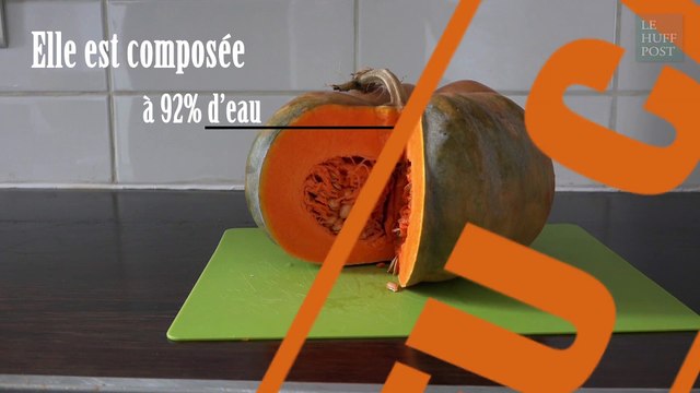 Définition, origines, bienfaits, recette... Tout, tout, tout, vous saurez tout sur le potiron