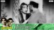 All Songs Of Jaali Note {HD} - Dev Anand - Madhubala - Evergreen Old Hindi Songs