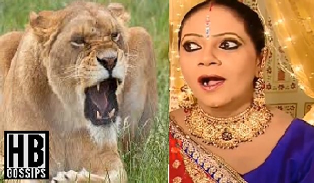 Saath Nibhana Saathiya Kokila Becomes Lioness Bites Gohra 22nd November 2015