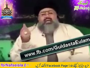 Allama Syed Irfan Shah Mash'hadi - Hazoor Data Sahab