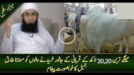 Maulana Tairq Jameel Saying About Those Who Buy Bull in Rs.2 Million