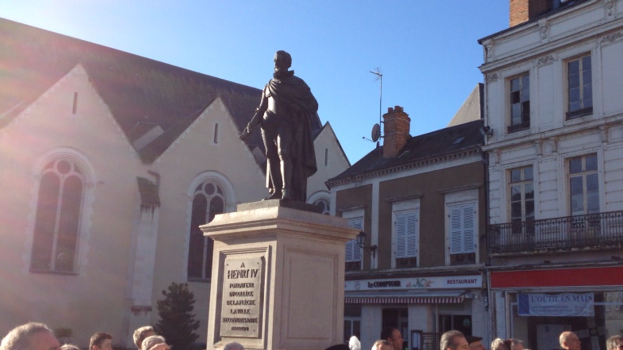 Des échassiers maliens paradent en centre-ville