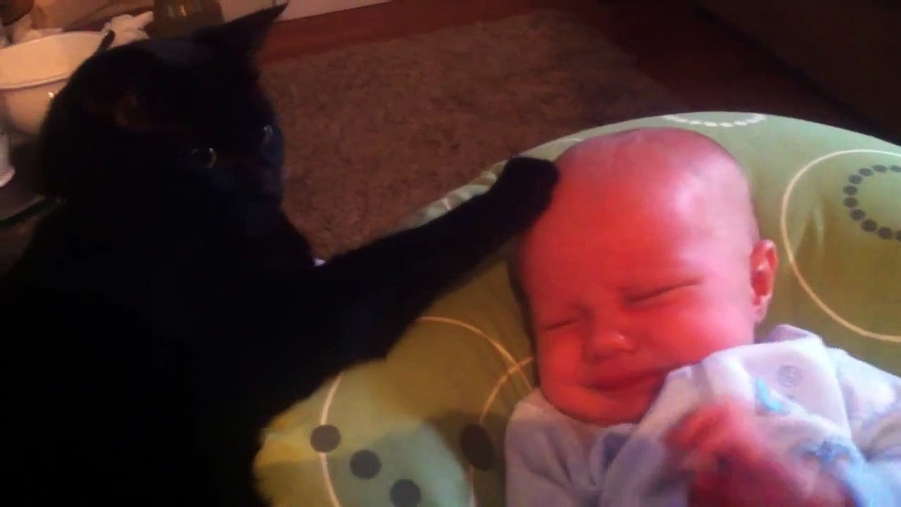Cat soothing crying baby to sleep - too cute!