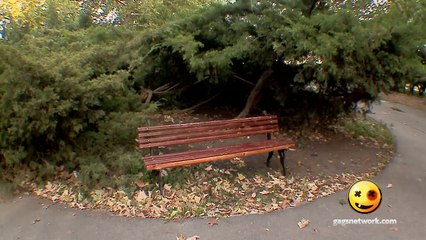 Park Bench Prank