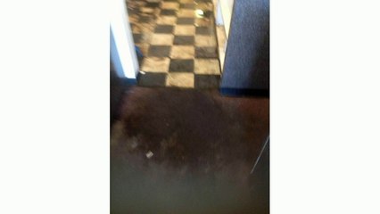 Sewage Backup Removal Grand Island FL 407-218-5862