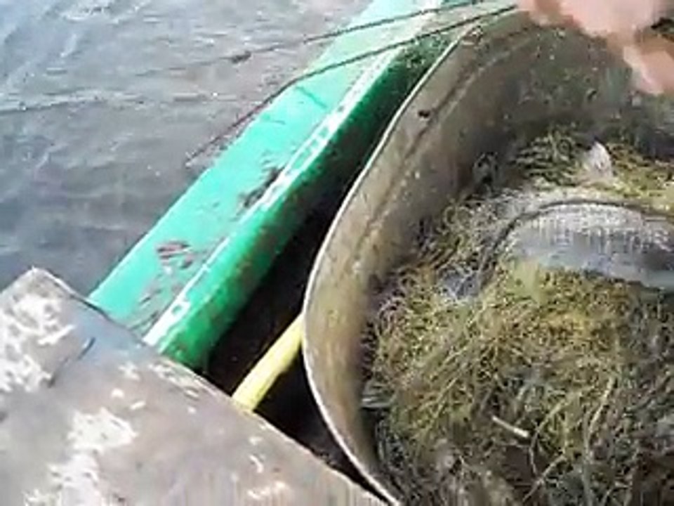 DSCN1088_x264