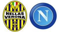 Hellas Verona vs Napoli 0-2 All Goals & Highlights (Serie A 2015)