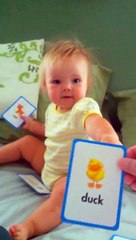 Josephine's Flash Cards  | Kids video | Full_HD | 30fps