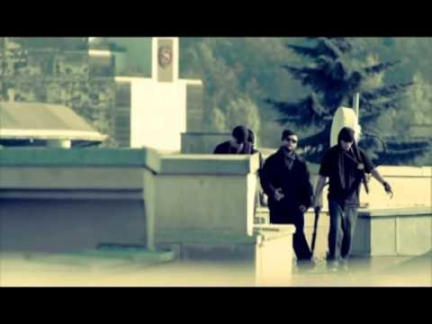 PRANGOSET STRESI ARKIMED LUSHAJ AKUZOHET PER ARMEMBAJTJE PA LEJE LAJM