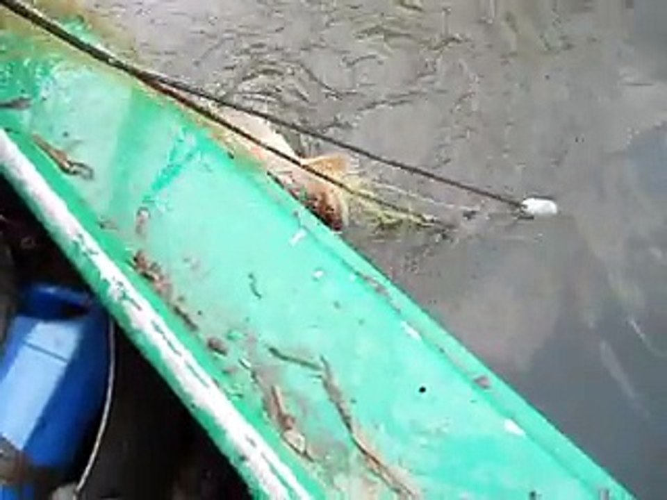 DSCN1090_x264