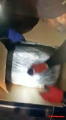 VID-20151122-WA0004