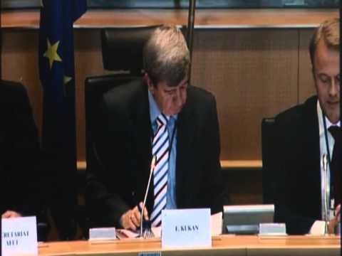 REZOLUTA E PE PER SHQIPERINE PERFSHIHET GJYKIMI I 21 JANARIT DHE ISH TE PERNDJEKURIT LAJM