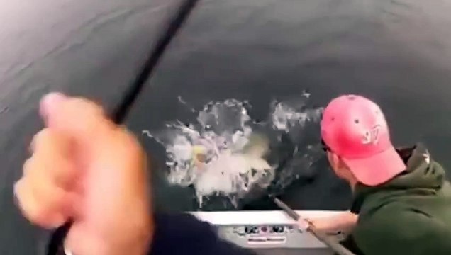 At çek yapan balıkçılar bu videoyu sakın kaçırmayın!!!