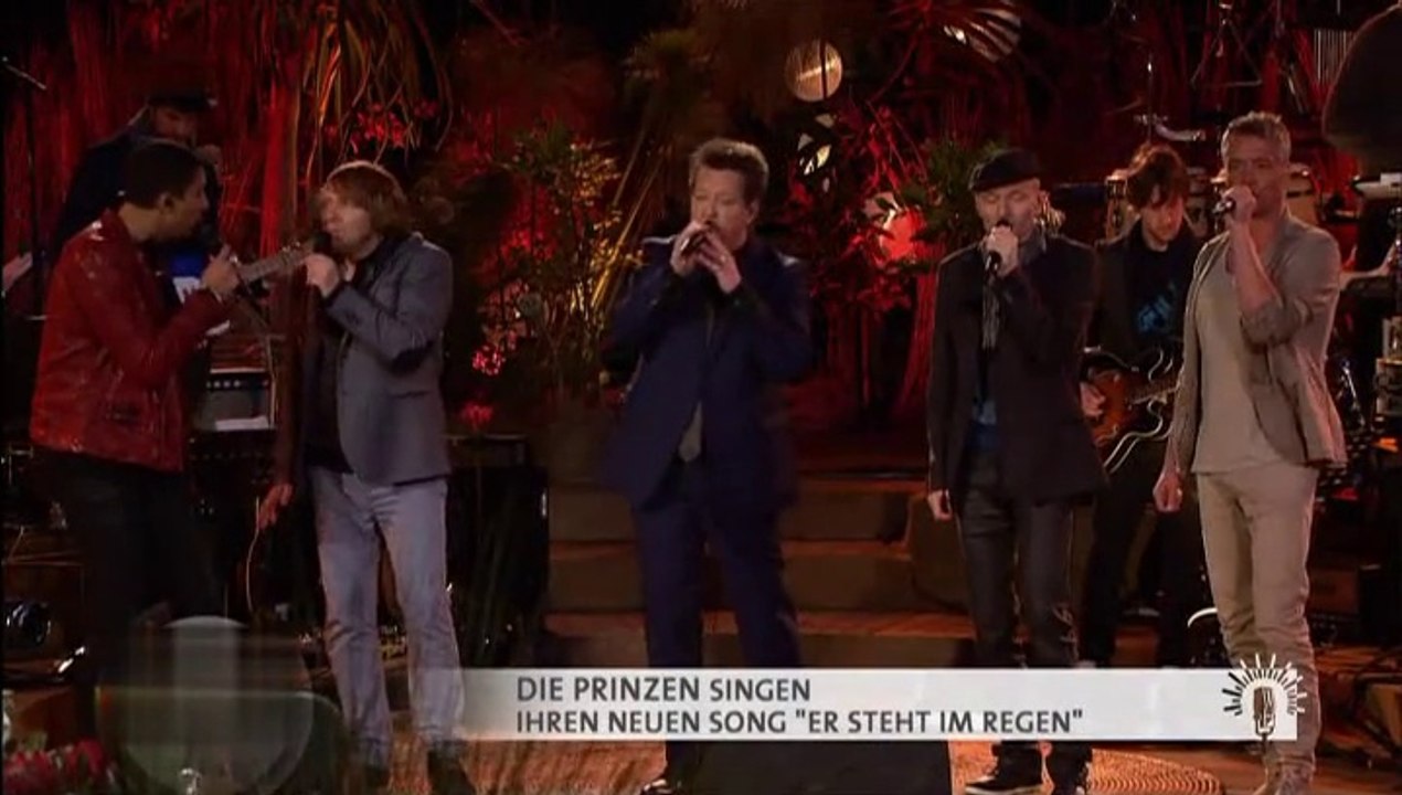 Die Prinzen - Er steht im Regen 2015