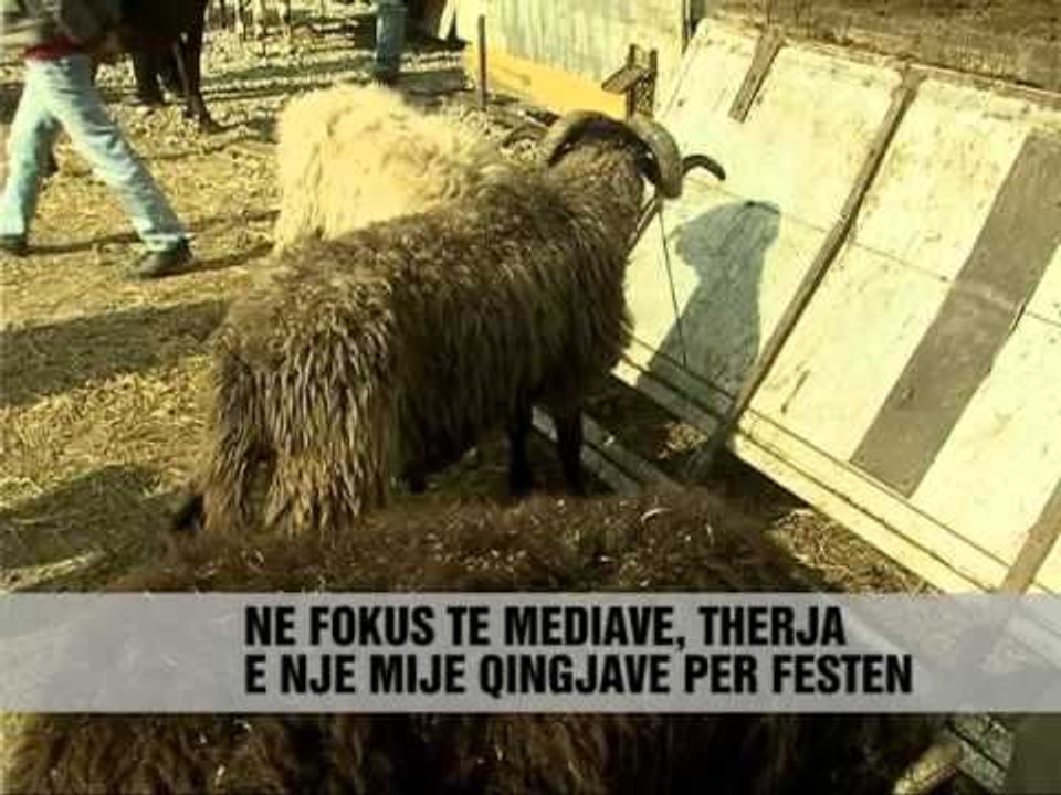 Mediat e huaja për festen - Vizion Plus - News - Lajme