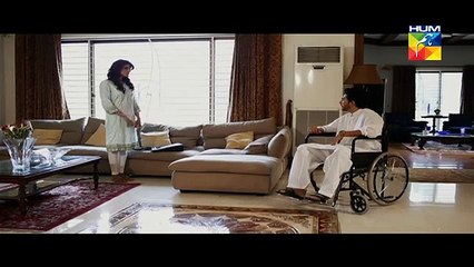 Kaise Tumse Kahoon Episode 17 Full Hum TV Drama 22 Nov 2015