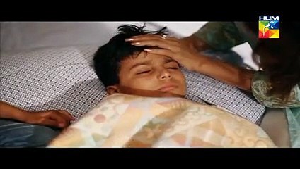 Watch Drama Kaise Tumse Kahoon Episode 17 Hum TV