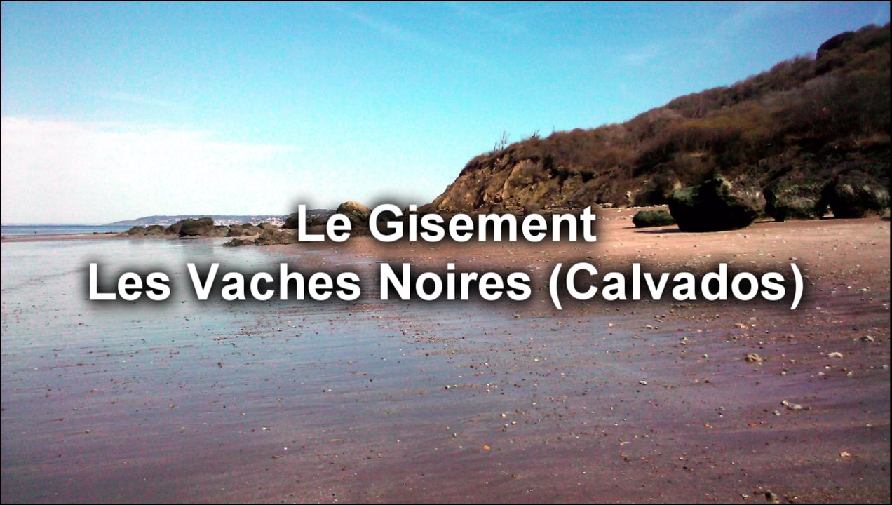 Hors Série 1 - Le Gisement Les Vaches Noires (Calvados)