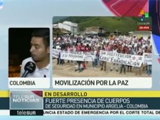 Colombia: campesinos de Argelia denuncian militarización de su pueblo