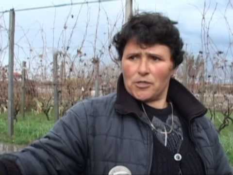 MOTI I KEQ RIKTHEHEN PERSERI PERMBYTJET NE FSHATRAT E LEZHES LAJM
