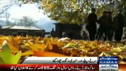 Report about tourism in Autumn season in neelum valley