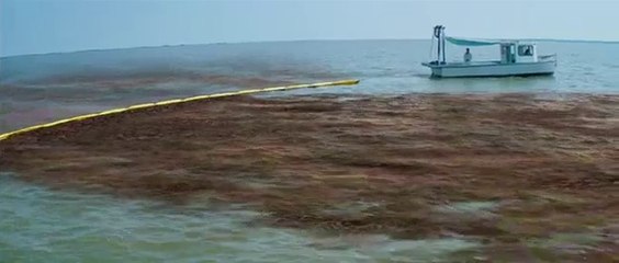 The Runner (2015) Full Movie [To Watching Full Movie,Please Click My Blog Link In DESCRIPTION]