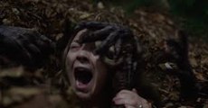 The Forest 2016 Complet Movie Streaming VF en français gratuit