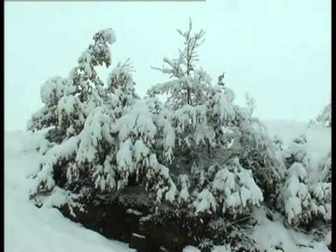 MOTI I KEQ NE VEND NGRIN SHQIPERIA KUDO NE VEND TEMPERATURAT BIEN NEN ZERO LAJM