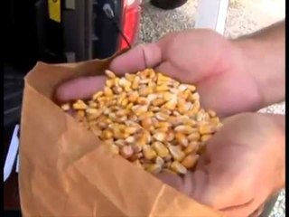 FRIKE NE KOSOVE MISRI I INFEKTUAR NE SERBI RREZIK PER TE GJITHE BALLKANIN LAJM