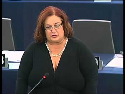 PARLAMENTI EUROPIAN REZOLUTE PER SHQIPERINE PRO STATUSIT POR ME KUSHTE LAJM