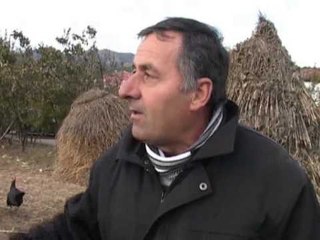 GJELI I DETIT FERMERET E PEQINIT NISIN PERGATITJET PER FESTAT LAJM