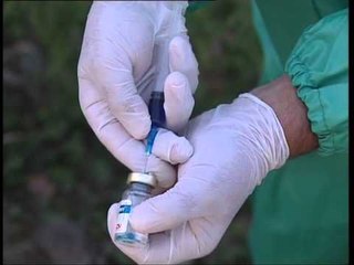 MBYLLET FUSHATA PERFUNDON VAKSINIMI I BAGETIVE KUNDER BRUCELOZES LAJM