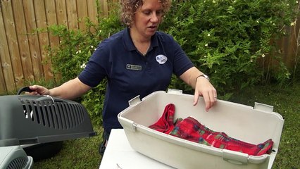 Ash Veterinary Surgery