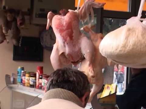 CMIMET E USHQIMEVE PESOJNE RRITJE PER FESTAT E FUNDVITIT NE ELBASAN LAJM