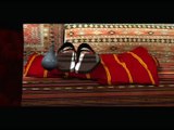 Musab Bin Umeyr - Animasyon İslami Çizgi Film (Tek Parça)