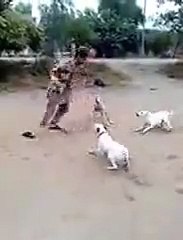 A man who fighting with three dogs at a time