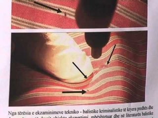 GJYQI I 21 JANARIT PROKURORIA DO TE JAPE PRETENCEN NE 30 JANAR LAJM
