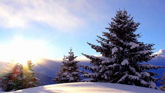 Sibelius - The Spruce Op.75 n°5