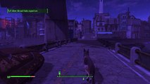 Dogmeat disarms mine!!!!