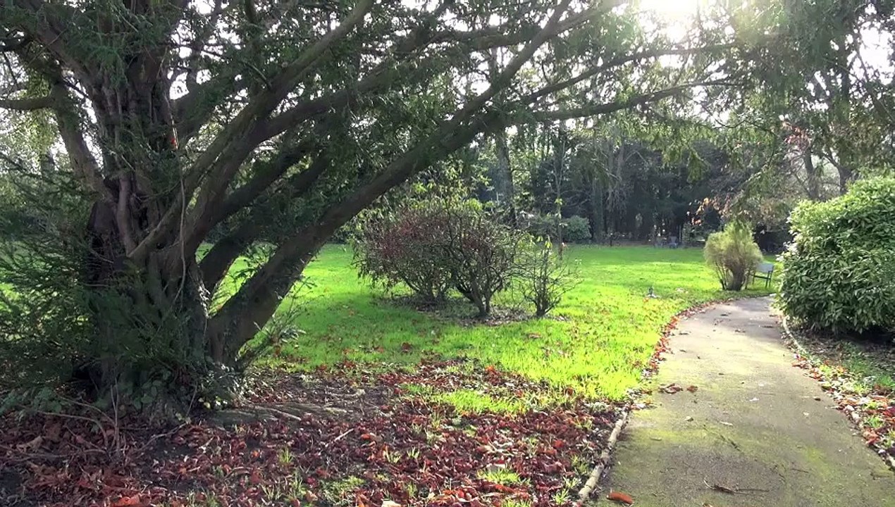 Arsenic et Vieilles Dentelles version Pudding taille moyenne