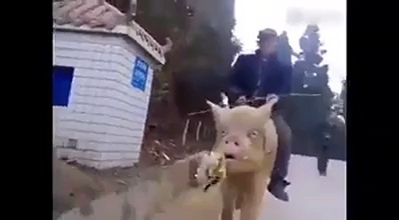 scary riding wow