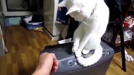 НЕ БЕСИ пусть будет закрыто